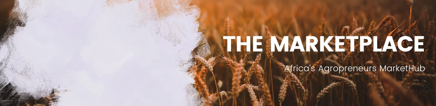 Farm-to-Market Connections