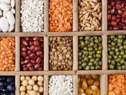 Seeds and Fertilizers